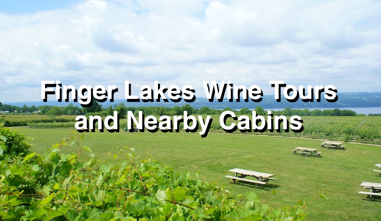 Finger Lakes Cabin Rentals in NY